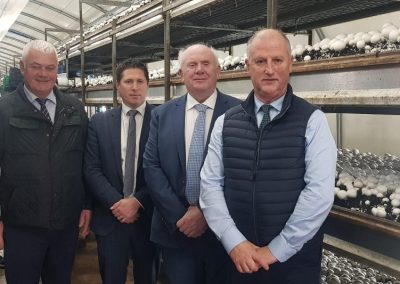 Mushroom sector being innovative in seeking resolution to horticulture peat crisis, unlike the government – Matt Carthy TD